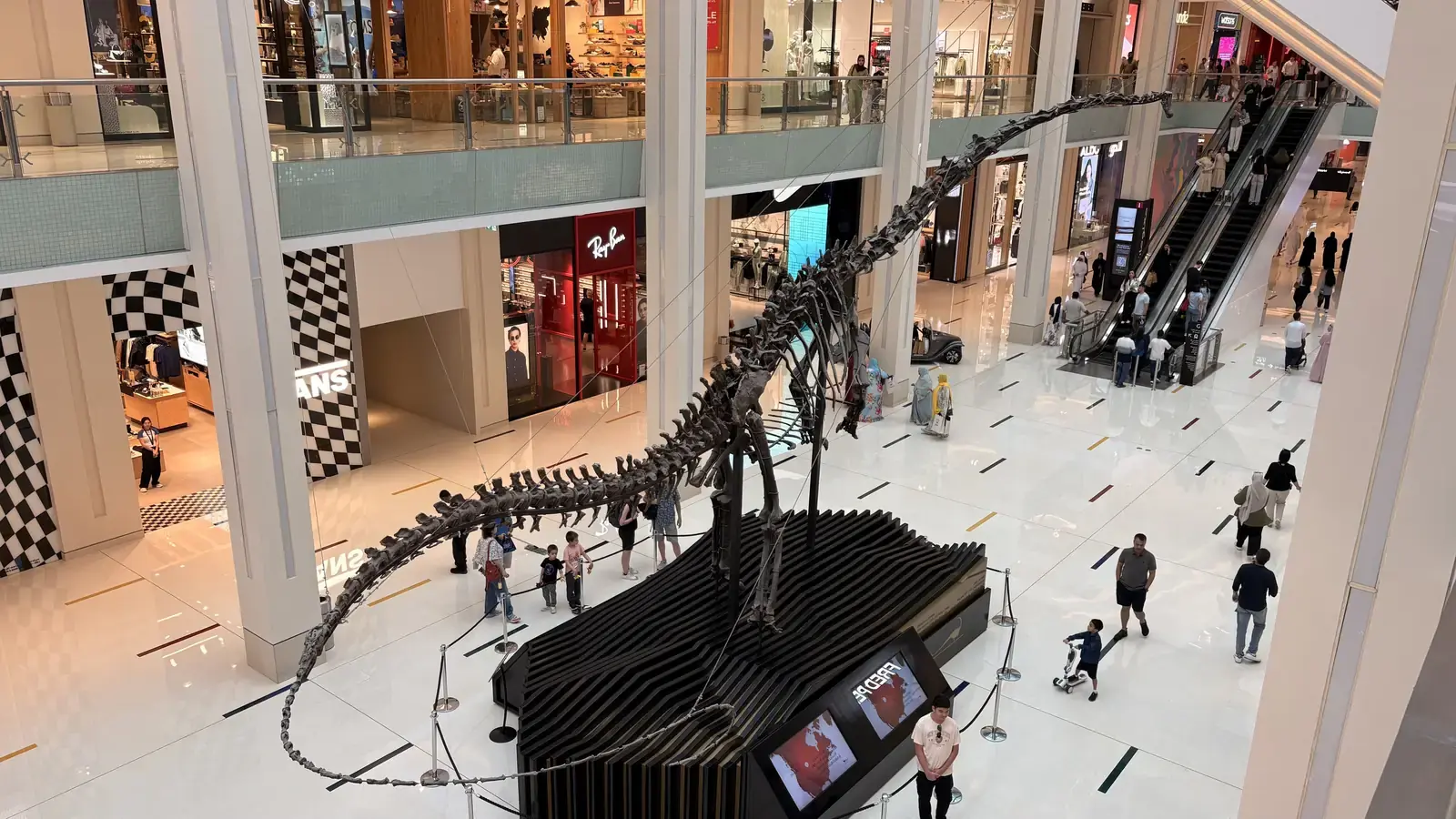Dubai learning and immersion glimpse